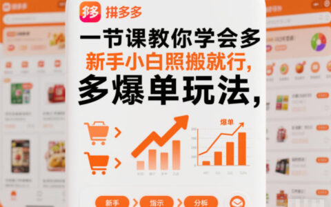 2025一节课掌握拼多多爆单策略，新手小白实操指南