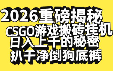 2026开年重磅解密：CSGO游戏搬砖实战策略与被动收入拆解指南