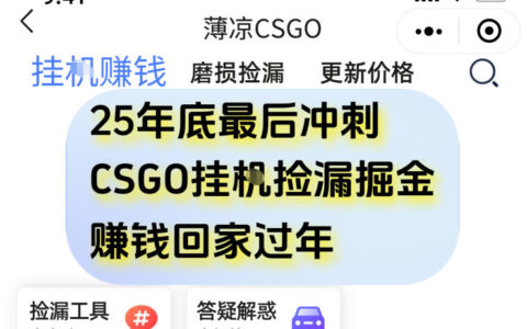 12月年底抓紧最后机会：CSGO游戏捡漏掘金变现策略实测，手机轻松获取额外收入