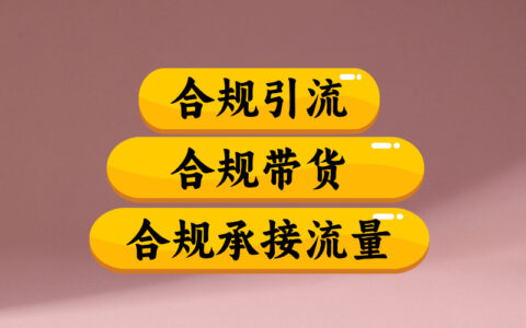 2025合规引流带货实战：高效承接流量策略拆解