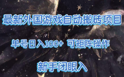 最新外国游戏变现项目实战指南：矩阵操作，新手也能上手