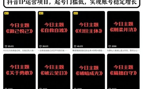 抖音IP运营实战攻略：低门槛起号与稳定增长变现方法