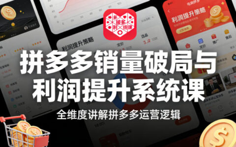 拼多多销量与利润提升实战系统课：全维度运营策略指南
