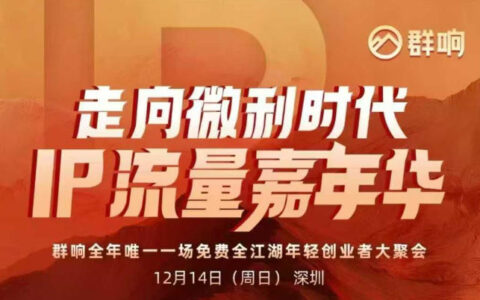 2025 IP流量线下实战课：12月14日深圳，微利时代变现策略与案例拆解