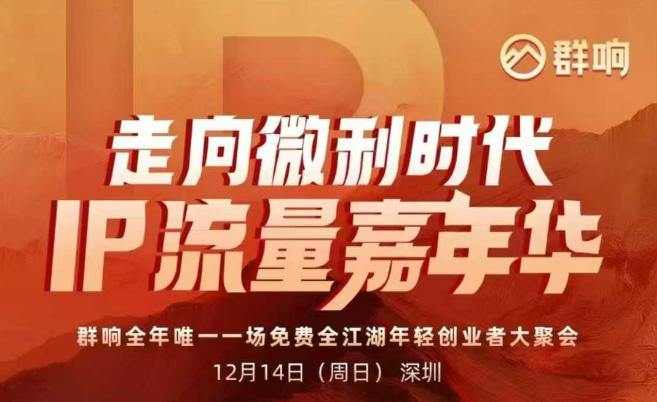 2025 IP流量线下实战课：12月14日深圳，微利时代变现策略与案例拆解