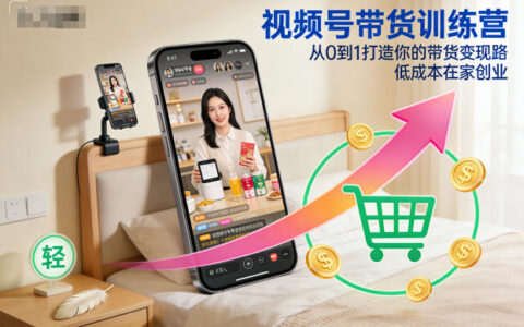 视频号带货训练营：从0到1实战变现攻略，低成本在家项目实操