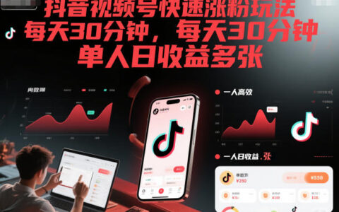 抖音视频号涨粉变现实战：每天30分钟，单人高效收益方法