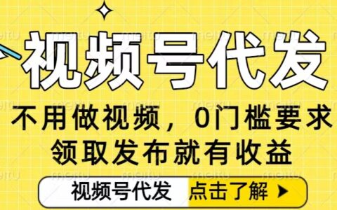 视频号代发项目实操：零门槛起步，无需剪辑视频，发布即收益，小白轻松变现指南