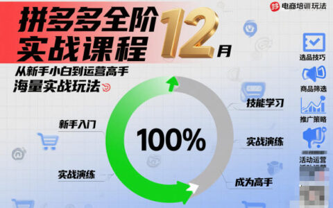 拼多多实战课程：新手到运营高手的完整变现攻略与实操案例