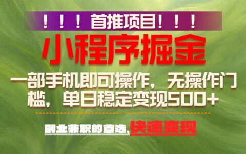 20252026年小程序变现实战：易上手长期项目指南
