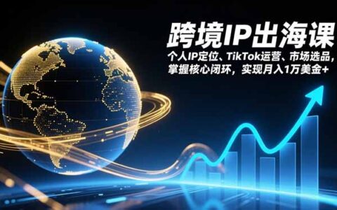 跨境IP出海实战教程：个人IP定位、TikTok运营、市场选品核心闭环拆解，被动收入变现指南
