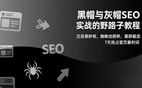高效SEO实战教程：泛目录收录、蜘蛛池建设、霸屏截流策略，快速抢占首页盈利词