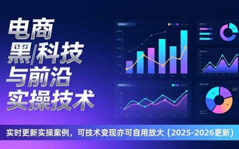 电商前沿策略与实战技术：实时更新实操案例，实现变现与收益放大（2026版）