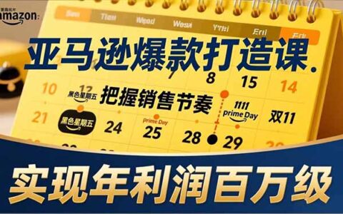 亚马逊爆款打造实战指南：大促节点、全年规划与淡旺季策略，掌握销售节奏，提升年利润潜力