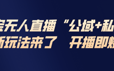 2025淘宝无人直播双轨变现策略：私域公域实操指南