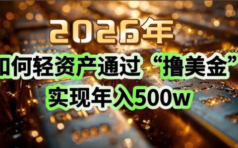 2026年轻资产美元项目实操：年入500步骤w策略指南