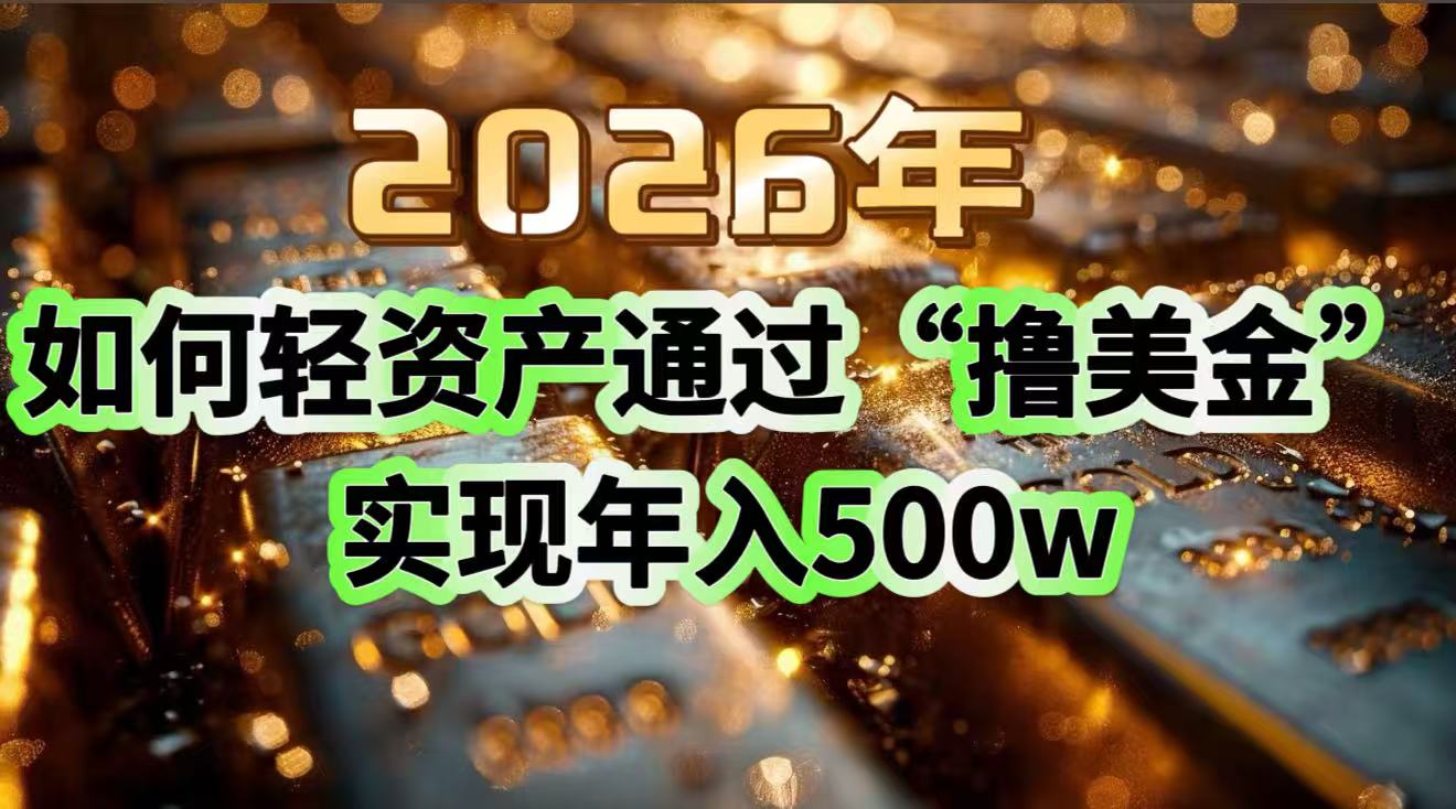 2026年轻资产美元项目实操：年入500步骤w策略指南
