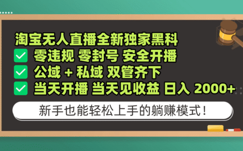 淘宝无人直播变现方法：安全开播实操策略，公域私域双管齐下，高效收益指南