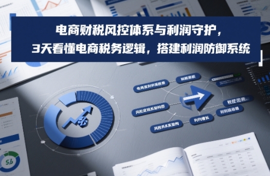 电商财税风控策略：3天掌握税务逻辑与利润保护实操指南