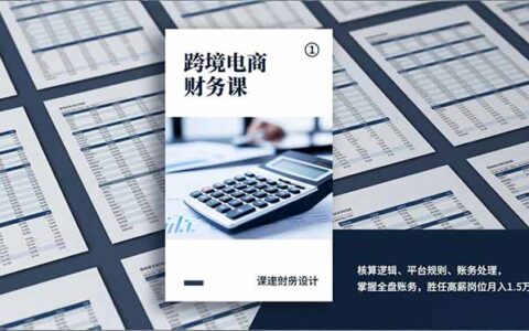 跨境电商财务实战课：核算逻辑、平台规则与账务处理全攻略，掌握全盘账务提升收入潜力