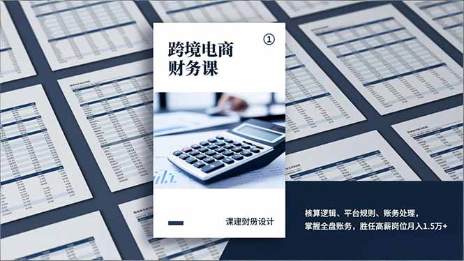 跨境电商财务实战课：核算逻辑、平台规则与账务处理全攻略，掌握全盘账务提升收入潜力