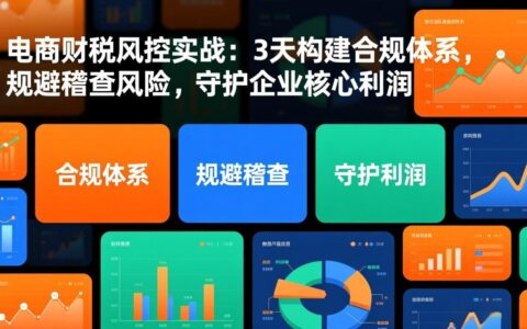 电商财税风控实战指南：高效构建合规策略，规避稽查风险，保障企业核心利润