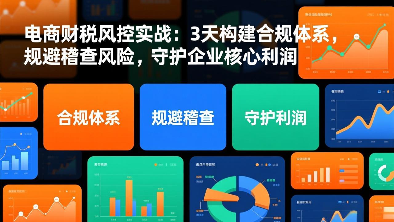 电商财税风控实战指南：高效构建合规策略，规避稽查风险，保障企业核心利润