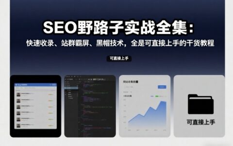 SEO实战策略全集：快速索引、多站点优化、高级技巧，全是可直接上手的干货教程