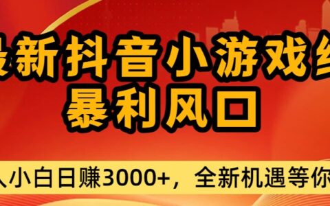 2025抖音小游戏变现实操指南：新手单日收入策略分享