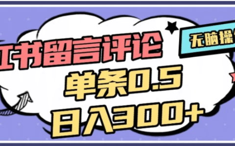 20252026小红书评论变现实操：详细方法指南与案例