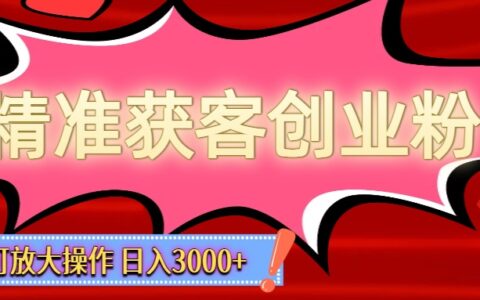 2025精准获客创业粉变现实操指南，简单操作可放大