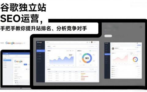 谷歌独立站SEO运营实战：提升网站排名与竞争对手分析变现指南（2026更新）