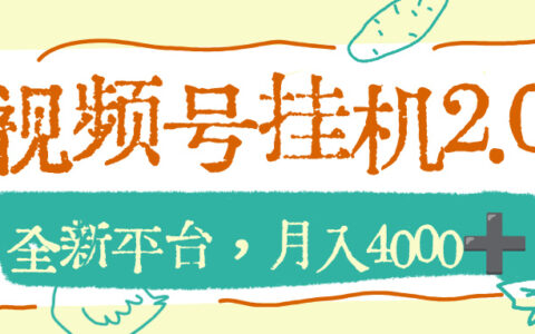 2025视频号变现2.0实战指南：全新平台被动收入思路