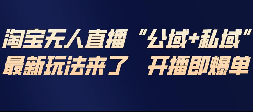 淘宝无人直播实战教程：公域+私域融合，高效变现方法指南