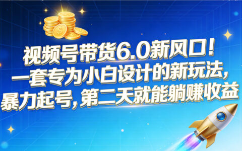 视频号带货6.0新风口：小白专属实战攻略，快速起号实现被动收入