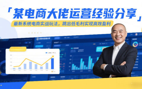 某电商大佬运营经验分享：电商系统实战玩法拆解，低毛利突破高效变现指南