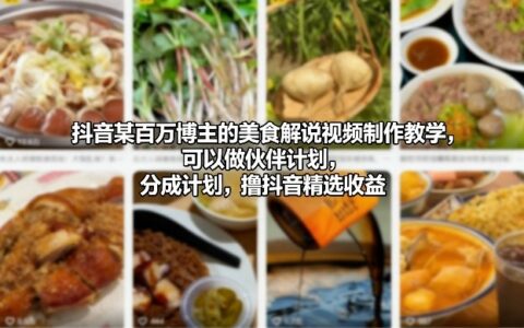 抖音百万博主美食解说视频制作教学：伙伴计划与分成策略的变现实战指南