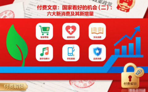 2025六大新消费增长策略(二)：实测指南与变现机会