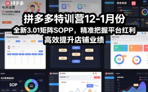 拼多多实战课程：全新3.01矩阵策略，精准把握平台红利，高效提升店铺收益