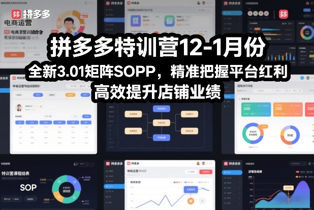 拼多多实战课程：全新3.01矩阵策略，精准把握平台红利，高效提升店铺收益