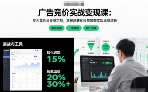 广告竞价实战变现策略：竞价员专属实操指南，掌握高转化投放方法提升业绩