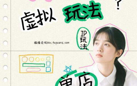 小红书电商实战指南：铺货流与单品策略解析，IP+原创商品合规变现路径（被动收入案例）