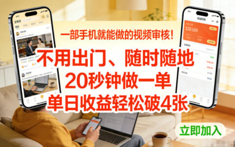 视频审核项目实操指南：手机操作随时随地，20秒任务收益思路分享