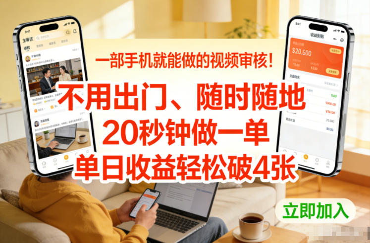 视频审核项目实操指南：手机操作随时随地，20秒任务收益思路分享