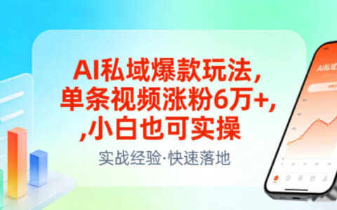 2025AI私域流量实战策略：新手可实操的涨粉方法