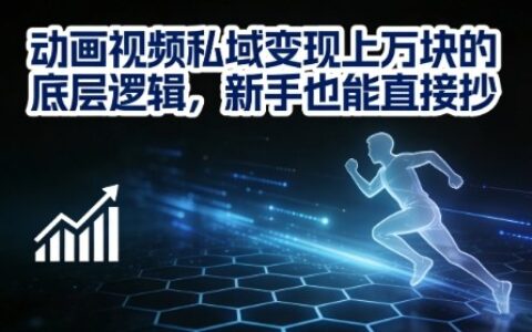 2025动画视频私域变现的实战策略，新手也能直接上手