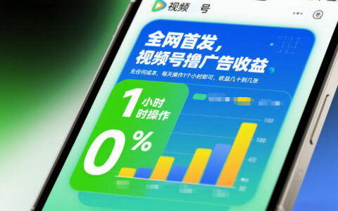 全网首发：视频号广告收益实战方法，低成本每日1小时操作，轻松变现指南