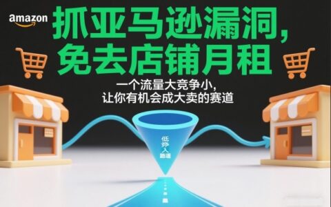 亚马逊免月租开店策略：高流量低竞争赛道变现实战指南