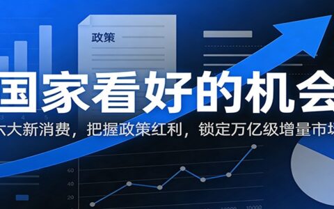 2025政策红利下的六大新消费：实战攻略掘金增量市场变现