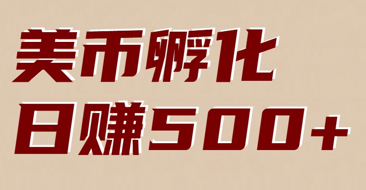 美币孵化项目：电脑自动赚美金方法，新手轻松上手实操